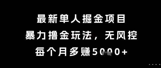 最新单人掘金项目，暴力撸金玩法，无风控，每个月多挣5k+【揭秘】-shxbox省心宝盒
