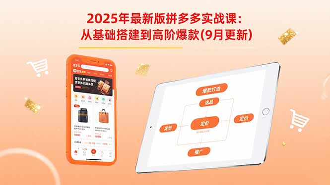 2025年最新版拼多多实战课：从基础搭建到高阶爆款(9月更新-shxbox省心宝盒
