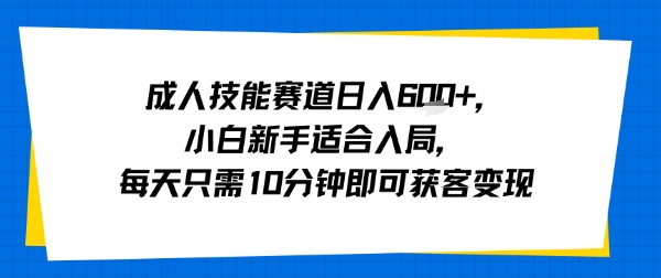 成人技能赛道日入多张，小白新手适合入局，每天只需10分钟即可获客变现-shxbox省心宝盒