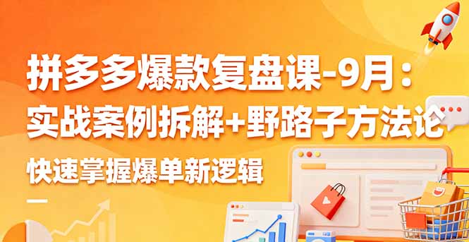 拼多多爆款复盘课-9月：实战案例拆解+野路子方法论，快速掌握爆单新逻辑-shxbox省心宝盒