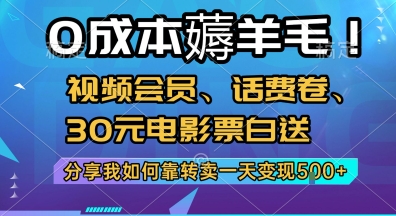 0成本薅羊毛!视频会员、话费卷、30元电影票白送，分享我如何靠转卖一天变现5张+【揭秘】-shxbox省心宝盒