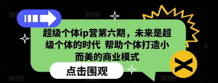 超级个体ip营第六期，未来是超级个体的时代  帮助个体打造小而美的商业模式-shxbox省心宝盒