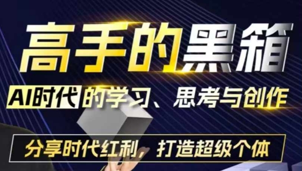 高手的黑箱：AI时代学习、思考与创作-分红时代红利，打造超级个体-shxbox省心宝盒