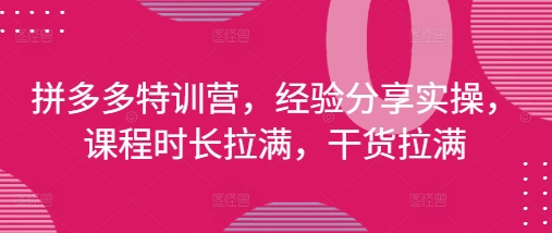 拼多多特训营，经验分享实操，课程时长拉满，干货拉满(更新25年4月)-shxbox省心宝盒