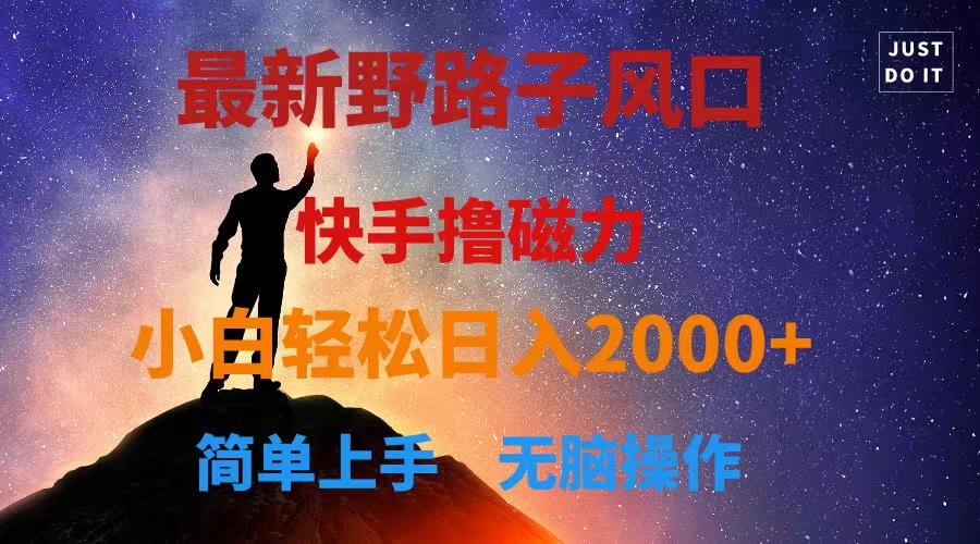 最新风口！快手撸磁力，野路子，小白无脑操作日入2000+-shxbox省心宝盒