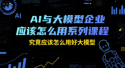 AI与大模型企业应该怎么用系列课程，究竟应该怎么用好大模型-shxbox省心宝盒