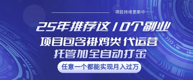 25年推荐这10个副业项目包含褂鸡类、代运营托管类、全自动打金类【揭秘】-shxbox省心宝盒