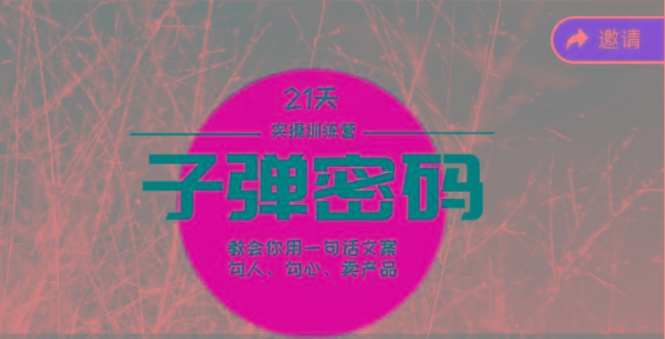 《子弹密码训练营》-用一句话文案勾人勾心卖产品，21天学到顶尖文案大师策略和技巧-shxbox省心宝盒