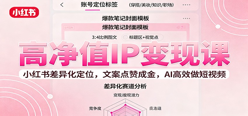 高净值IP变现课：小红书差异化定位，文案点赞成金， AI高效做短视频-shxbox省心宝盒