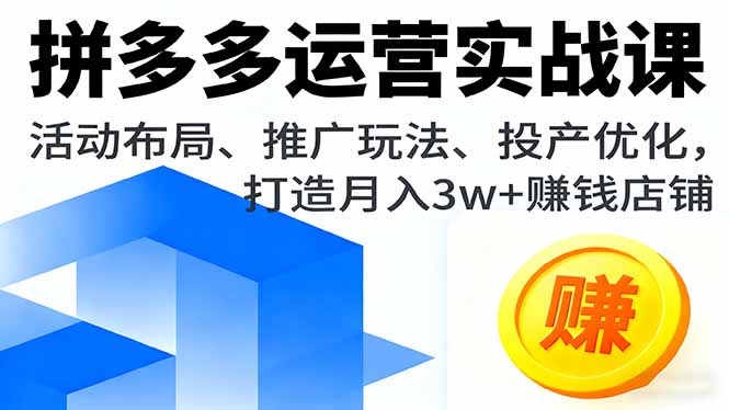 拼多多运营实战课，活动布局、推广玩法、投产优化，打造月入3w+赚钱店铺-shxbox省心宝盒