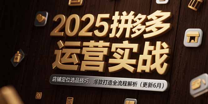 2025拼多多运营实战：店铺定位选品技巧，爆款打造全流程解析(更新6月-shxbox省心宝盒