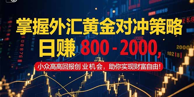 掌握外汇黄金对冲策略，日赚 800 - 2000，小众高回报创业机会，助你实...-shxbox省心宝盒