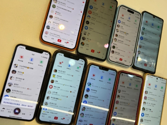 首发揭秘小红书私域日引500+创业粉四大模板，月入过W+全程干货!没有废话!保姆教程!-shxbox省心宝盒