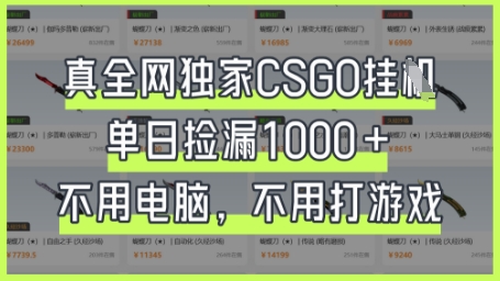 真全网独家CSGO挂G，单日捡漏1k+【揭秘】-shxbox省心宝盒