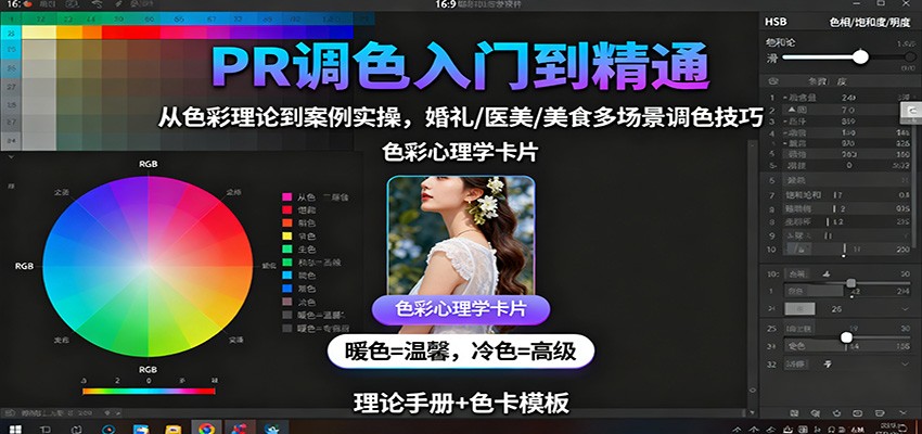 PR调色入门到精通：从色彩理论到案例实操，婚礼/医美/美食多场景调色技巧-shxbox省心宝盒