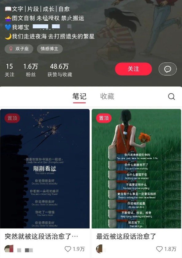 小红书治愈文案图文笔记，零门槛，一分钟制作轻松制作爆款作品月入万元-shxbox省心宝盒
