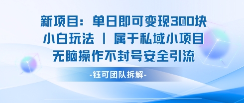 新项目单日即可变现3张的小白玩法无脑操作不封号安全引流-shxbox省心宝盒