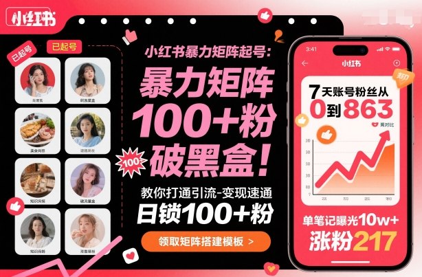 小红书暴力矩阵起号，教你打通引流-变现速通，日锁100+粉，破流量黑盒-shxbox省心宝盒