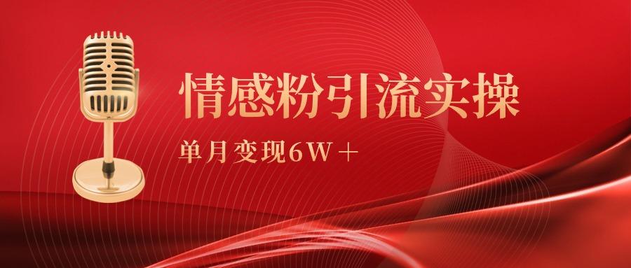 (9473期)单月变现6w+，情感粉引流变现实操课-shxbox省心宝盒