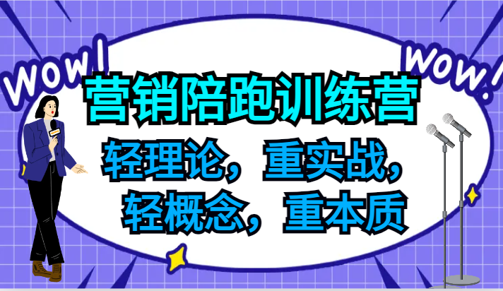 营销陪跑训练营,轻理论,重实战,轻概念,重本质,适合中小企业和初创企业的老板-shxbox省心宝盒