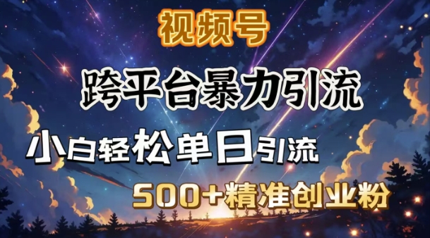 跨平台暴力引流，私域完美闭环，日引500+精准创业粉-shxbox省心宝盒