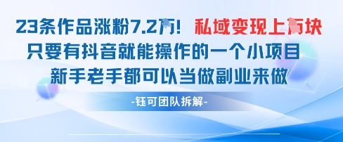 抖音私域项目23条作品涨粉7.2W,私域变现1W-shxbox省心宝盒