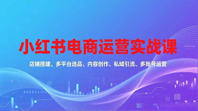 小红书电商运营实战课，店铺搭建、多平台选品、内容创作、私域引流、多账号运营等玩法-shxbox省心宝盒