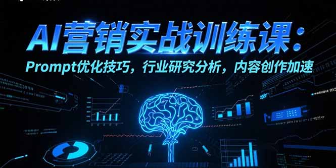 AI营销实战训练课：Prompt优化技巧，行业研究分析，内容创作加速-shxbox省心宝盒