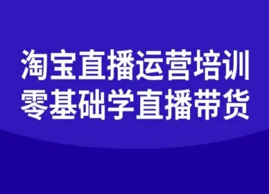 淘宝直播运营培训-零基础学会直播卖货-shxbox省心宝盒
