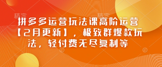 拼多多运营玩法课高阶运营【2月更新】，极致群爆款玩法，轻付费无尽复制等-shxbox省心宝盒