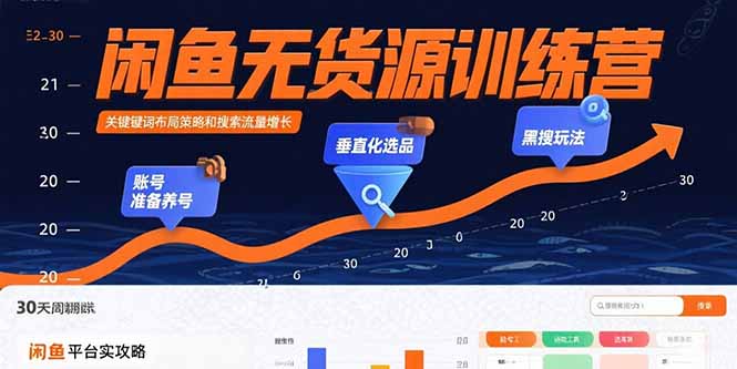 闲鱼无货源训练营：账号准备养号/垂直化选品/黑搜玩法，0基础30天盈利指南-shxbox省心宝盒