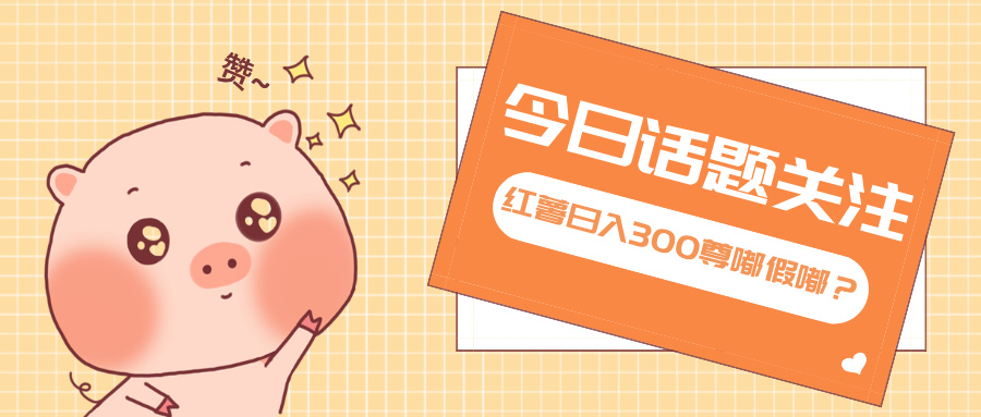 全新红薯浏览，打破常规 双端操作，每天运行6小时，让你获得工作以外的...-shxbox省心宝盒