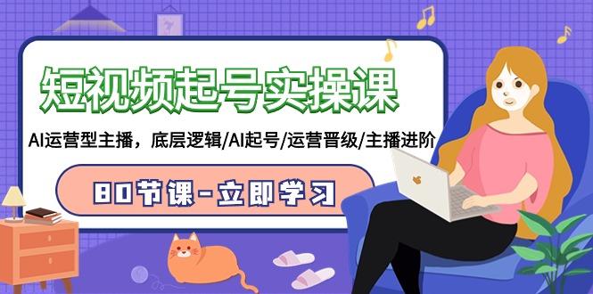 (9470期)短视频起号实操课，AI运营型主播，底层逻辑/AI起号/运营晋级/主播进阶/80节-shxbox省心宝盒