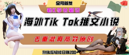 海外tiktok小说推文暴力项目，高停留率，高转化率，上手后一天搞顿饭钱不是问题-shxbox省心宝盒