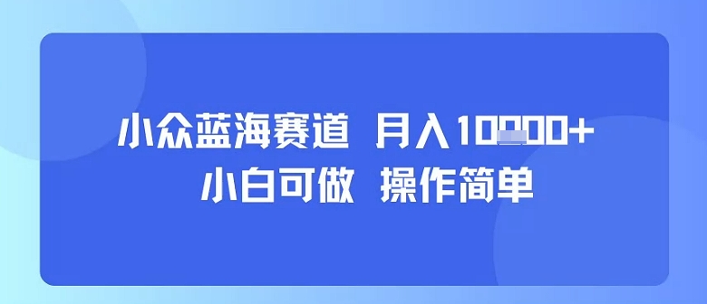小众蓝海赛道，小白可做，操作简单，每天30分钟，月入1W+-shxbox省心宝盒