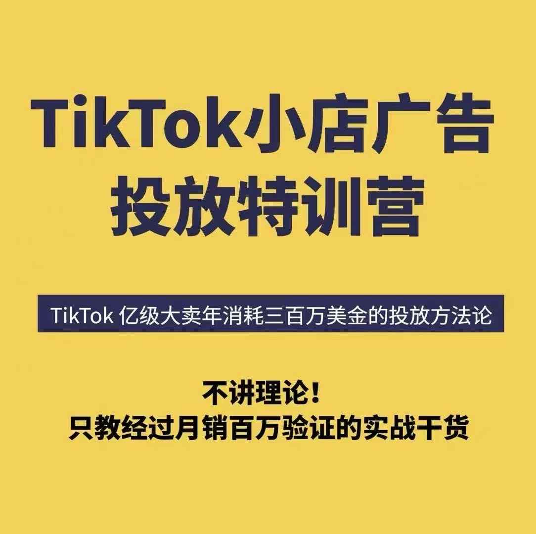 TikTok小店广告投放特训营，6天破局计划专治各种“投不动”，教你经过月销百万验证的实战干货-shxbox省心宝盒