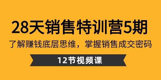 28天销售特训营5期：了解赚钱底层思维，掌握销售成交密码（12节课）-shxbox省心宝盒