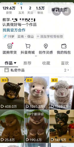 抖音65W博主AI萌宠课程，新赛道流量大，原创+二创，全套课程+提示词-shxbox省心宝盒