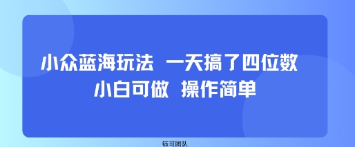 小众蓝海玩法 一天搞了四位数 小白可做 操作简单-shxbox省心宝盒