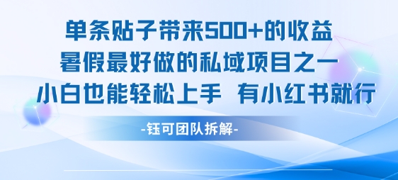 单条贴子带来5张的收益，暑假最好做的私域项目之一，小白也能轻松上手，有小红书就行-shxbox省心宝盒