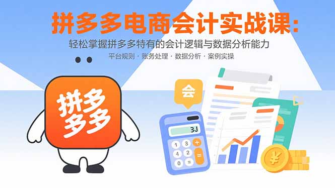 拼多多电商会计实战课：轻松掌握拼多多特有的会计逻辑与数据分析能力-shxbox省心宝盒