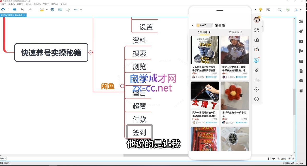 铁逸潇老师·闲鱼电商新手运营教程-shxbox省心宝盒