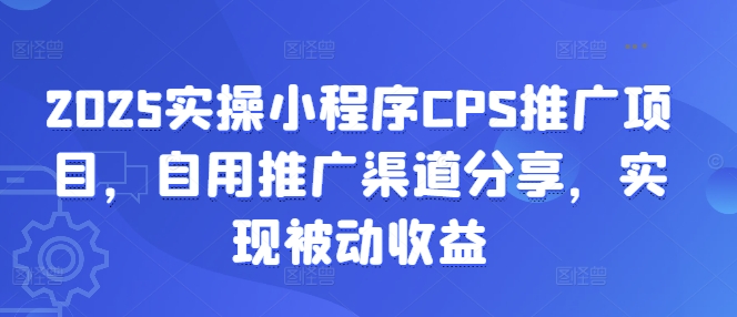 2025实操小程序CPS推广项目，自用推广渠道分享，实现被动收益-shxbox省心宝盒