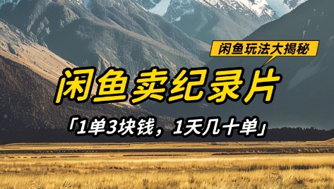闲鱼卖纪录片1单3块钱，1天几十单，项目稳定有潜力-shxbox省心宝盒