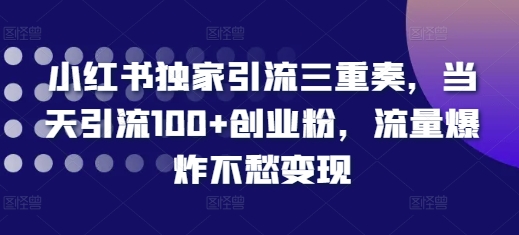 小红书独家引流三重奏，当天引流100+创业粉，流量爆炸不愁变现【揭秘】-shxbox省心宝盒