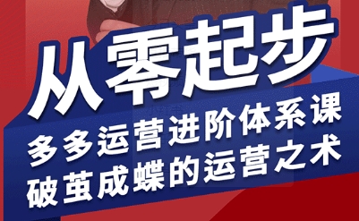 拼多多运营进阶系统课，从零起步，多多运营进阶体系课，破茧成蝶的运营之术-shxbox省心宝盒