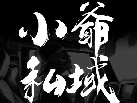 小爷·私域项目操盘手-shxbox省心宝盒