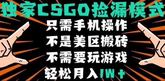 CSGO自动捡漏项目，最新独家玩法，不是美区搬砖，不需要了解和玩游戏，新手小白轻松月入1W+【揭秘】-shxbox省心宝盒