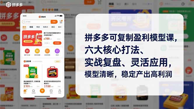 拼多多可复制盈利模型课，六大核心打法、实战复盘、灵活应用，模型清晰，稳定产出高利润-shxbox省心宝盒