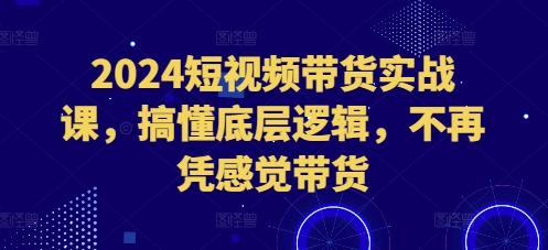2024短视频带货实战课，搞懂底层逻辑，不再凭感觉带货-shxbox省心宝盒